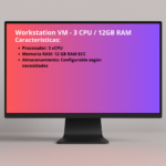 WorkStation VM – 3 CPU / 12GB RAM (Alquiler)